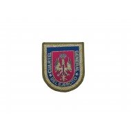 parche de ejercito de tierra(wowen)